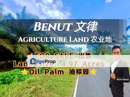 Benut Road Side Oil Palm Land For Sale, Johor, Pontian