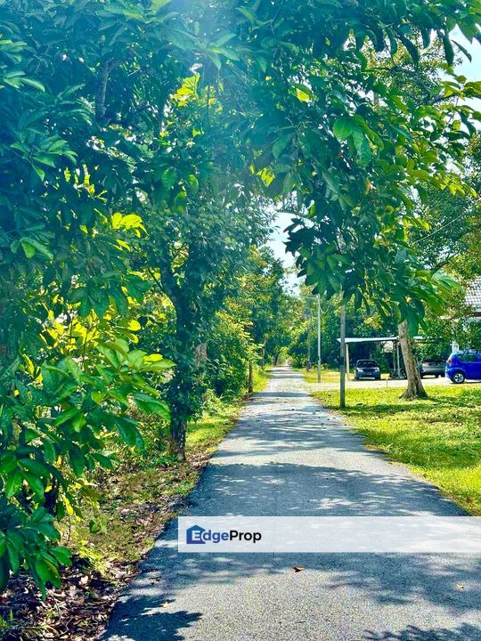 Pontian Zon Residential Land For Sale , Johor, Pontian