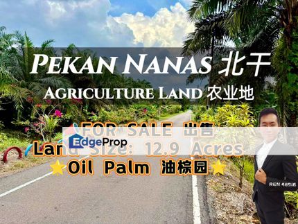 Pekan Nanas Agriculture Land For Sale , Johor, Pontian