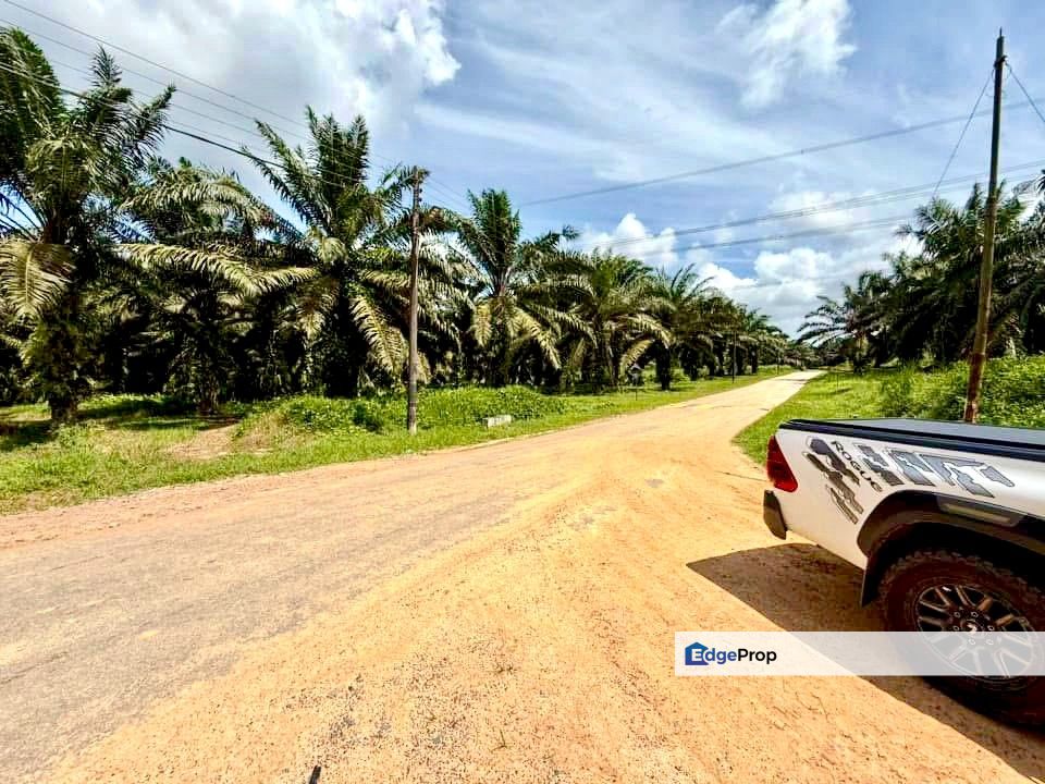 Simpang Renggam BELOW MARKET Oil Palm Land For Sale , Johor, Kluang
