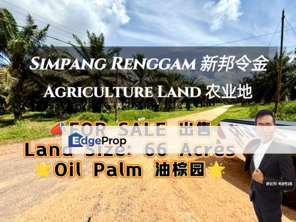 Simpang Renggam BELOW MARKET Oil Palm Land For Sale , Johor, Kluang