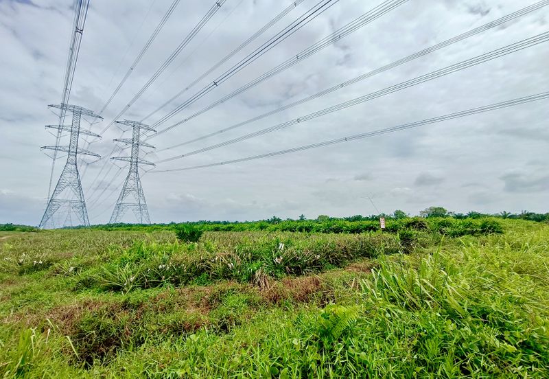 Rimba Terjun Pontian