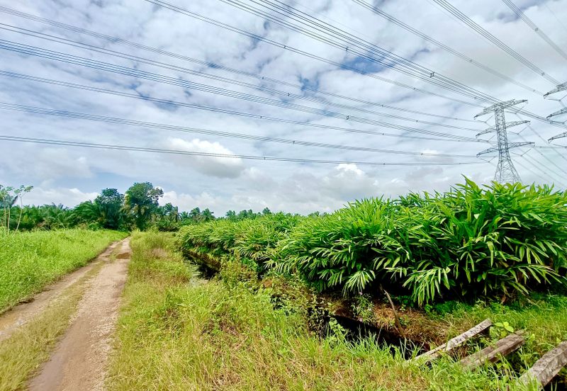 Rimba Terjun Pontian