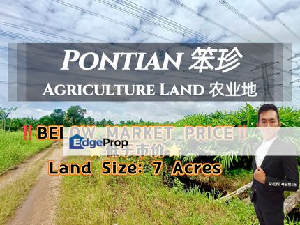 Pontian Pekan Nanas BELOW MARKET Agriculture Land For Sale , Johor, Pontian