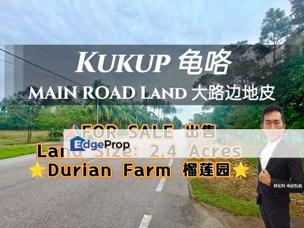 Kukup MAIN ROAD Durian Farm For Sale, Johor, Pontian