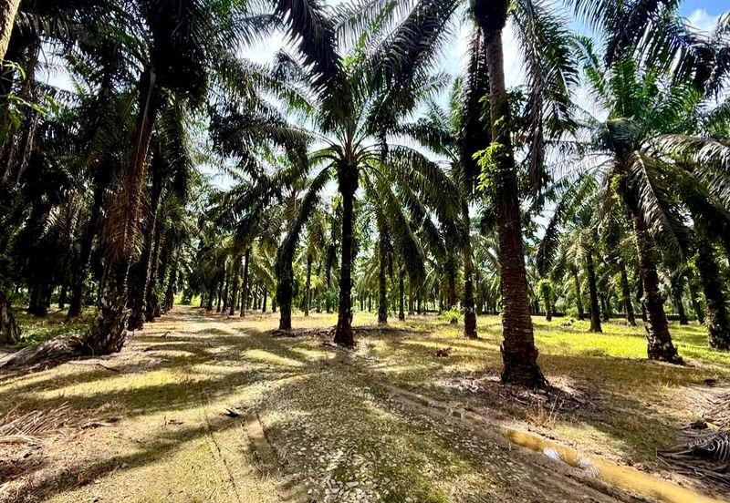 Kampung Baru Sedenak