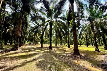 Kampung Baru Sedenak