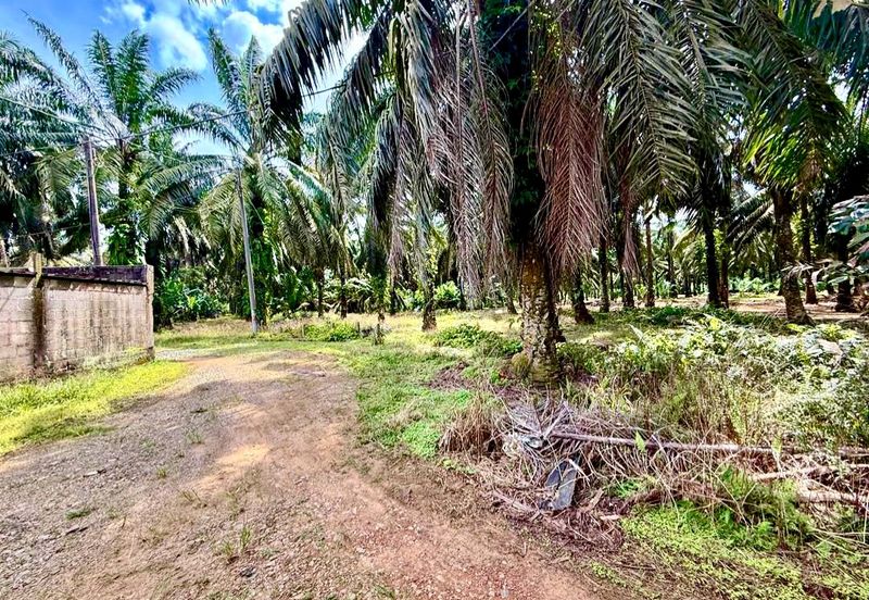 Kampung Baru Sedenak