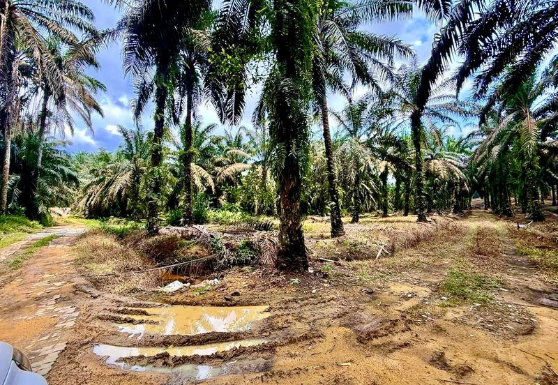 Kawasan Perindustrian Seelong