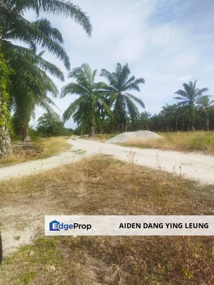 Sitiawan Perak 942.3 Acre Agriculture Land For Sale Beside Wce Highway, Perak, Manjung