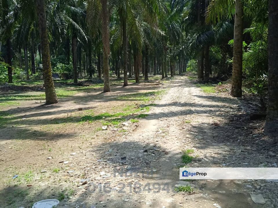 4.79 Acre Freehold Open Agricultural land (Residential Zoning) Beside PLUS Highway, Selangor, Sepang