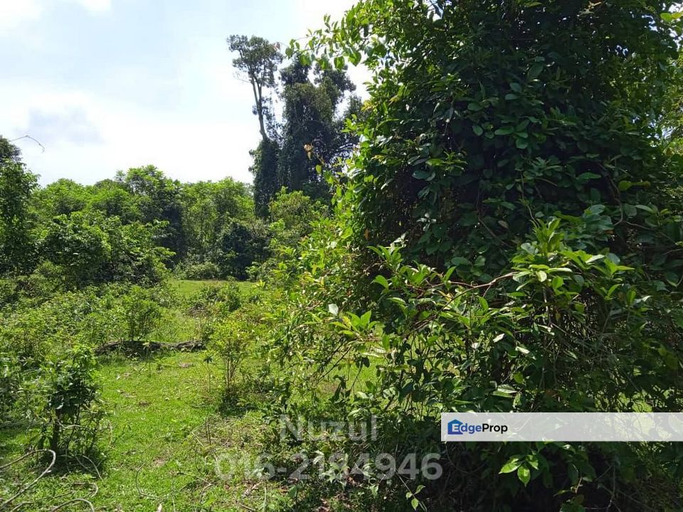 4.79 Acre Freehold Open Agricultural land (Residential Zoning) Beside PLUS Highway, Selangor, Sepang