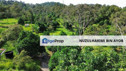 3.4 Acre Freehold Durian Orchard at Mantin, Negeri Sembilan, Negeri Sembilan, Seremban