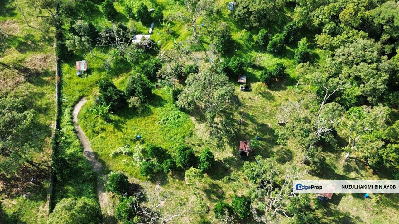 3.4 Acre Freehold Durian Orchard at Mantin, Negeri Sembilan, Negeri Sembilan, Seremban