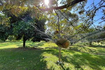 3.2 Acre Orchard with 1 1/2 Storey Bungalow, 4 Homestay, 1 Workers House and Swimming Pool at Seksyen U15, Shah Alam