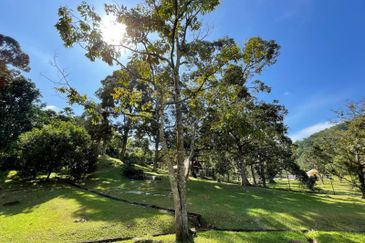 3.2 Acre Orchard with 1 1/2 Storey Bungalow, 4 Homestay, 1 Workers House and Swimming Pool at Seksyen U15, Shah Alam