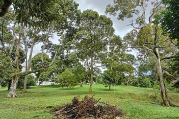 3.2 Acre Orchard with 1 1/2 Storey Bungalow, 4 Homestay, 1 Workers House and Swimming Pool at Seksyen U15, Shah Alam