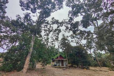 3.2 Ekar Tanah Pertanian Zoning Kediaman di Tepi Persiaran Mokhtar Dahari