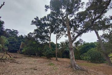 3.2 Ekar Tanah Pertanian Zoning Kediaman di Tepi Persiaran Mokhtar Dahari