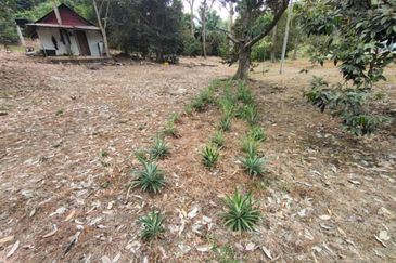 3.2 Ekar Tanah Pertanian Zoning Kediaman di Tepi Persiaran Mokhtar Dahari