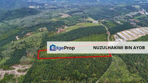 Tanah Pertanian 9.9 ekar di Tampin, Negeri Sembilan, Negeri Sembilan, Tampin