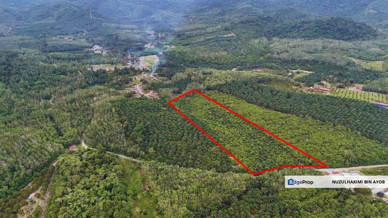 Tanah Pertanian 9.9 ekar di Tampin, Negeri Sembilan, Negeri Sembilan, Tampin