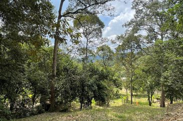 Tanah Pertanian 4 Ekar ,Sungai Gabai, Hulu Langat Near Sg Gabai Waterfall