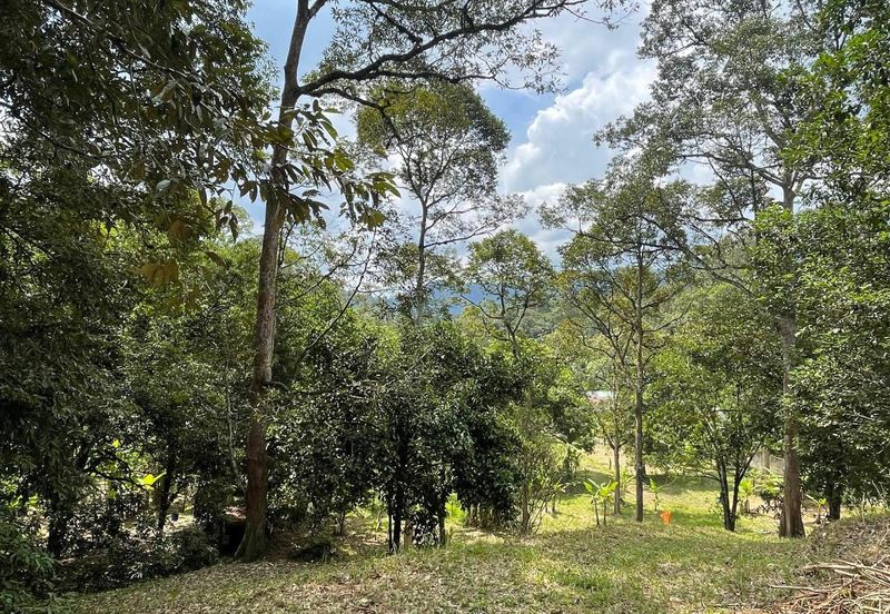 Tanah Pertanian 4 Ekar ,Sungai Gabai, Hulu Langat Near Sg Gabai Waterfall