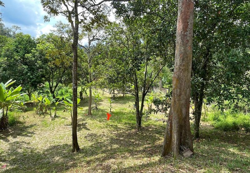 Tanah Pertanian 4 Ekar ,Sungai Gabai, Hulu Langat Near Sg Gabai Waterfall