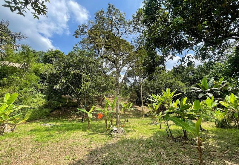 Tanah Pertanian 4 Ekar ,Sungai Gabai, Hulu Langat Near Sg Gabai Waterfall