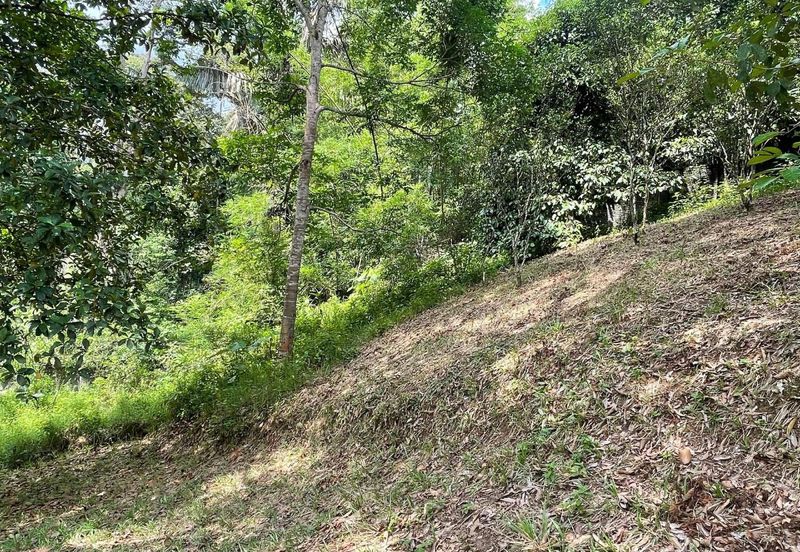 Tanah Pertanian 4 Ekar ,Sungai Gabai, Hulu Langat Near Sg Gabai Waterfall
