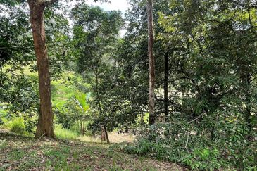 Tanah Pertanian 4 Ekar ,Sungai Gabai, Hulu Langat Near Sg Gabai Waterfall