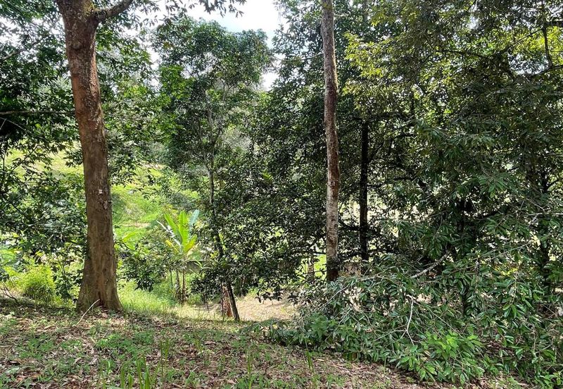 Tanah Pertanian 4 Ekar ,Sungai Gabai, Hulu Langat Near Sg Gabai Waterfall