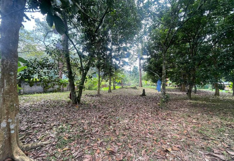 Tanah Pertanian 4 Ekar ,Sungai Gabai, Hulu Langat Near Sg Gabai Waterfall