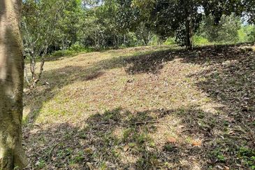 Tanah Pertanian 4 Ekar ,Sungai Gabai, Hulu Langat Near Sg Gabai Waterfall