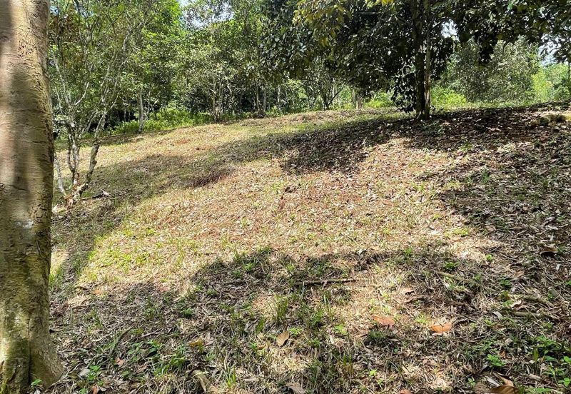 Tanah Pertanian 4 Ekar ,Sungai Gabai, Hulu Langat Near Sg Gabai Waterfall