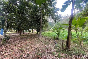Tanah Pertanian 4 Ekar ,Sungai Gabai, Hulu Langat Near Sg Gabai Waterfall