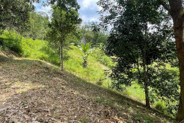 Tanah Pertanian 4 Ekar ,Sungai Gabai, Hulu Langat Near Sg Gabai Waterfall