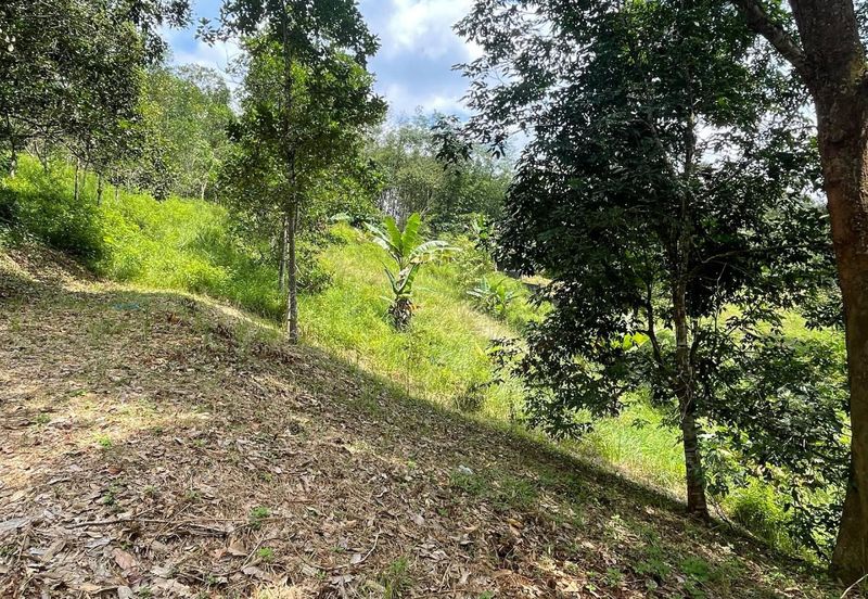 Tanah Pertanian 4 Ekar ,Sungai Gabai, Hulu Langat Near Sg Gabai Waterfall