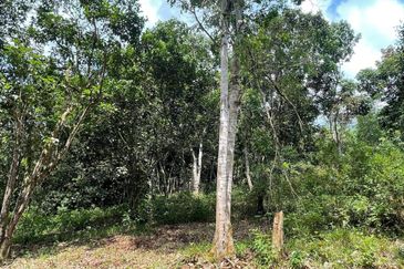 Tanah Pertanian 4 Ekar ,Sungai Gabai, Hulu Langat Near Sg Gabai Waterfall