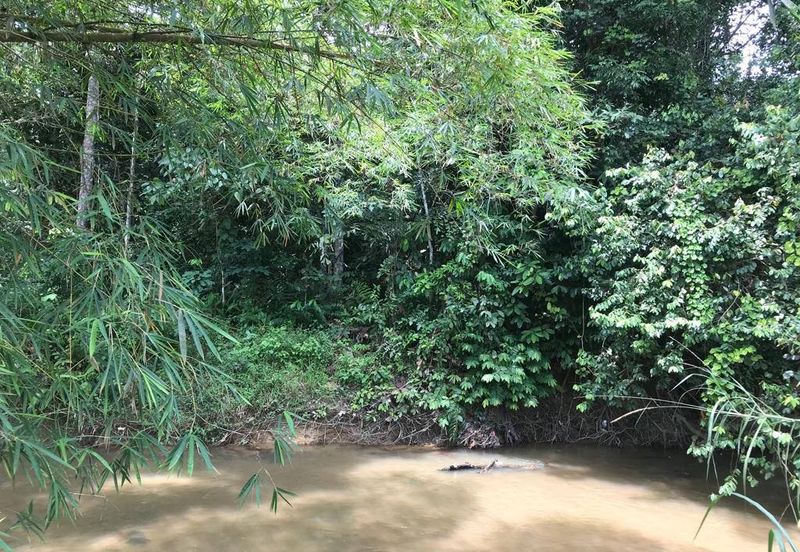 Murah Tanah Pertanian ada sungai 4 Ekar Hulu Langat 
