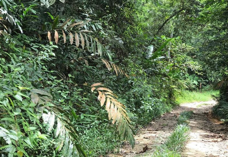 Murah Tanah Pertanian ada sungai 4 Ekar Hulu Langat 