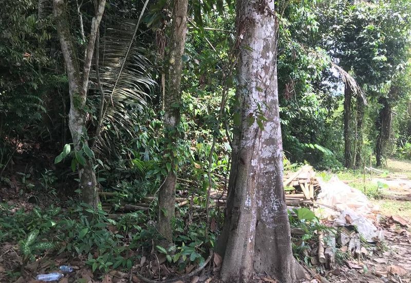 Murah Tanah Pertanian ada sungai 4 Ekar Hulu Langat 