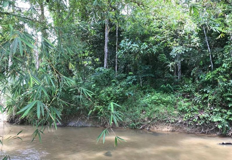 Murah Tanah Pertanian ada sungai 4 Ekar Hulu Langat 