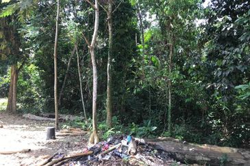 Murah Tanah Pertanian ada sungai 4 Ekar Hulu Langat 