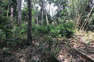 Murah Tanah Pertanian ada sungai 4 Ekar Hulu Langat 