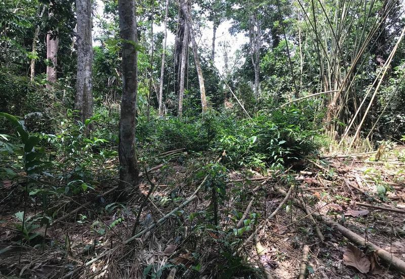 Murah Tanah Pertanian ada sungai 4 Ekar Hulu Langat 