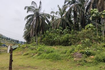 Kampung Jenderam Hulu