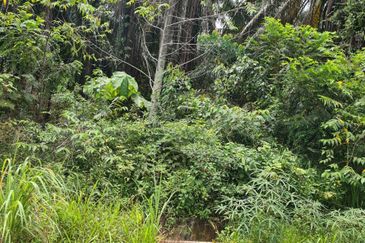 Kampung Jenderam Hulu