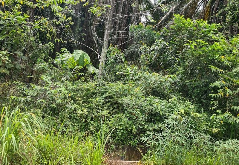 Kampung Jenderam Hulu